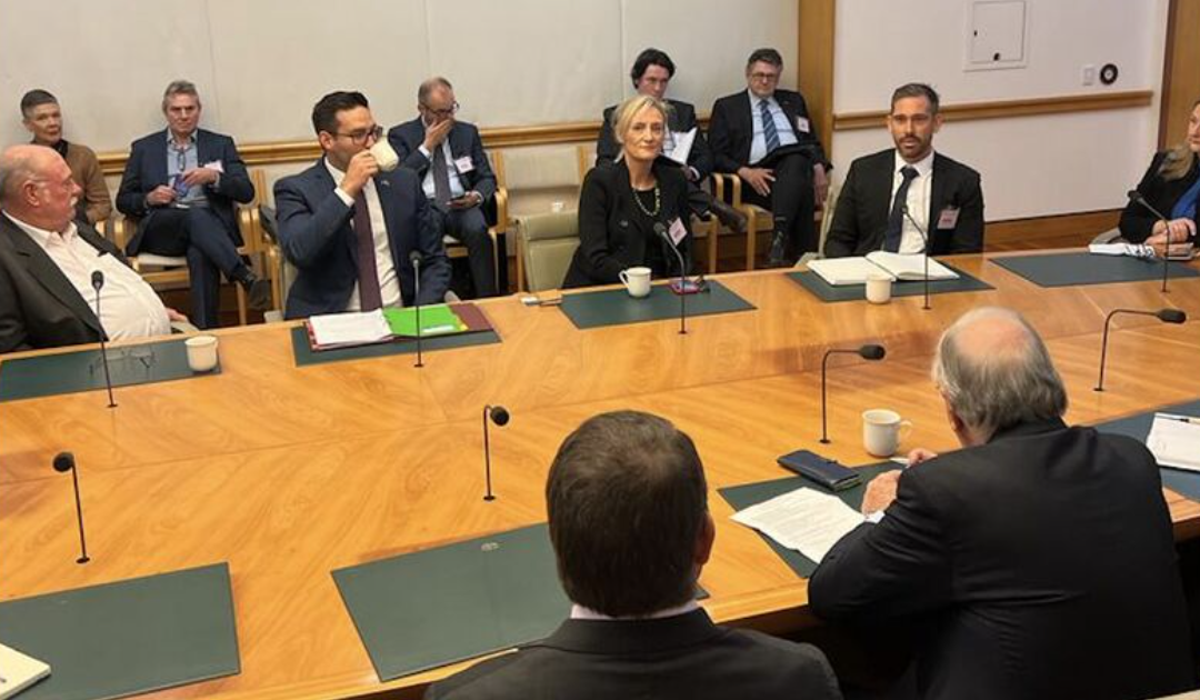 Business Councils’ joint delegation meets Australian Pacific Parliamentary Network