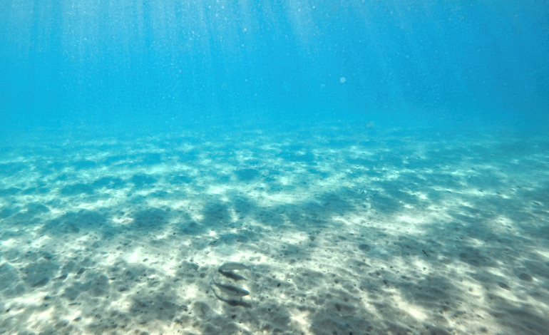 Pacific deep-sea mining moves into sharper focus