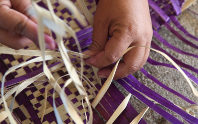 Samoa backs women-led micro enterprise with targeted seed funding