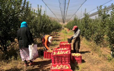 Pacific labour mobility under spotlight