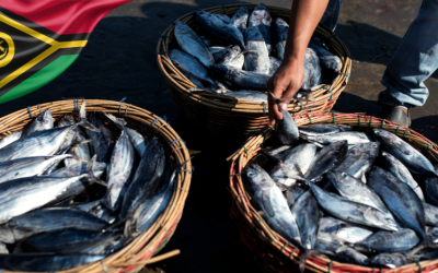 Vanuatu fisheries gets World Bank backing